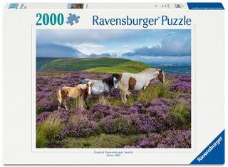 Ravensburger - Wild Horses 2000p (12001751)