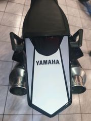Yamaha XT 660X 2008 REMUS CARBON"REMUS ECU"DNA FILTER"MT-07"-thumb-5