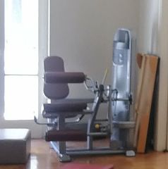 Επαγγελματικά όργανα γυμναστικής
