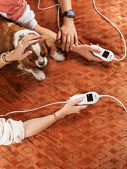 CAMRY CR 7436 electric blanket-thumb-4