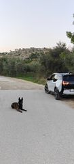Bmw i3 2016 LOOK S  REX-thumb-4