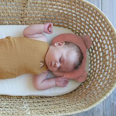 Candide - Panda Pillow - Rust-thumb-1
