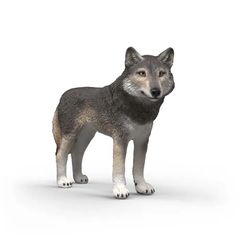 Schleich - American Wolf (14991) / Toys