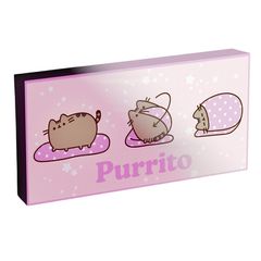 Pusheen light up canvas