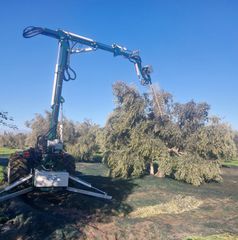 Ελαιουργικά-Ραβδιστικά 2024 CRF OLIVEONE