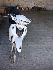 Modenas Dynamik 2007