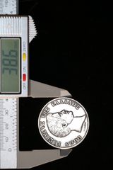 5 πέντε Δραχμαί Δραχμές Ασημένιο νόμισμα Συλλεκτικό, 1833, Όθωνας, Ακριβές αντίγραφο από ασήμι 750 πρόσφατης κατασκευής-thumb-9