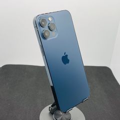 iPhone 12 Pro Max + Apple Silicon Case
