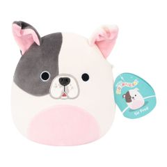 Squishmallows 19 cm P27 - Sir Fred Pitbull / Toys
