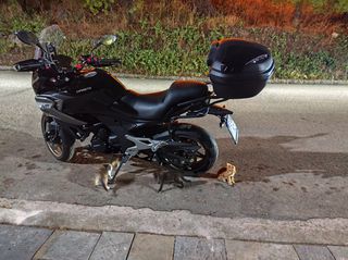 CFmoto 700 MT 2024