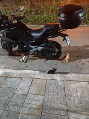CFmoto 700 MT 2024 Full extra μέχρι να  παραλάβω το καινούριο.-thumb-3