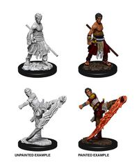 D Nolzur's Marvelous Miniatures Unpainted Miniatures Male Half-Elf Monk Case (6)