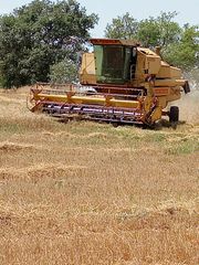 Θεριζοαλωνιστικές New Holland 1983 8080