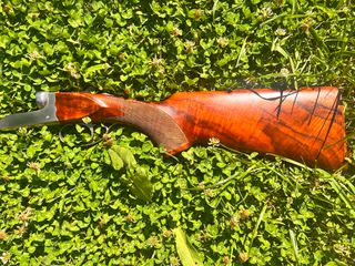 Δικαννο Chapuis Armes-thumb-3