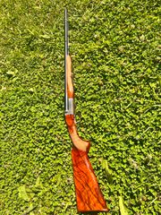 Δικαννο Chapuis Armes-thumb-6