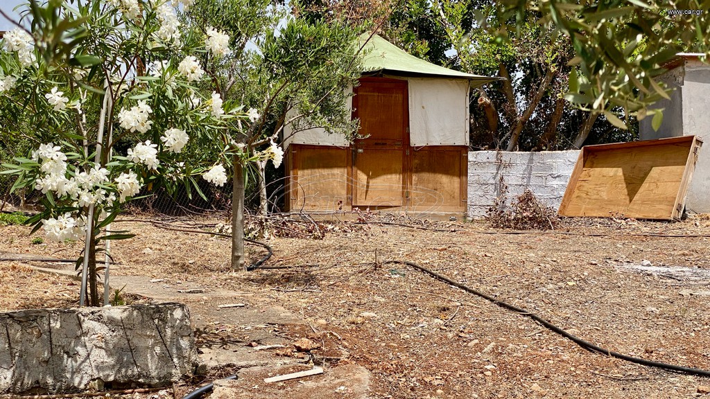 Σπίτι 1970 Billy Huts