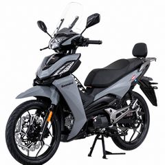 Gemini 2026 ARK 125X