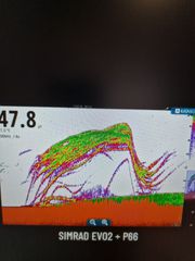 SIMRAD NSS 7 EVO 2-thumb-6