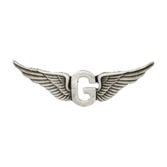 MCS Biker pins Goldwing g wing pin