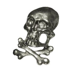 MCS Biker pins Skull & bones pin