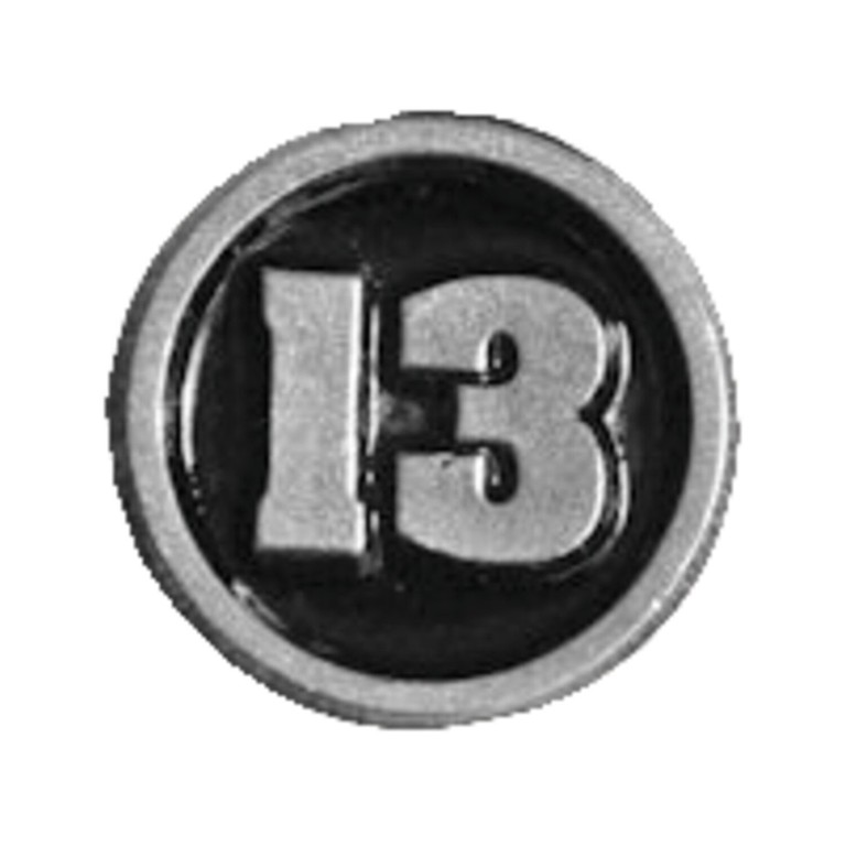 MCS #13 biker pin