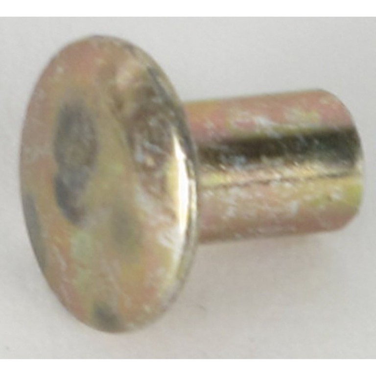 Cycle Electric Cycle Electric, rivet