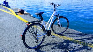 Trekking Ideal 2020 Travelon Trekking 28"