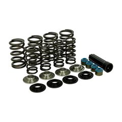 Manley Manley, valve spring kit. Titanium. Std to .650″ lift