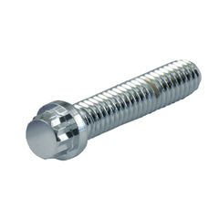 Gardner-Westcott 12 point bolt chrome, 1/4-20 x 2