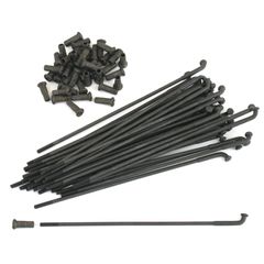 Samwel WL spokes, 18″. Black