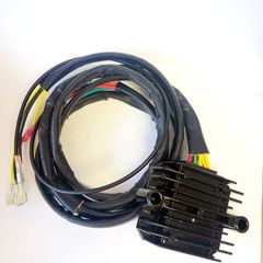 Rick’s Motorsport Electronics Rick’s Lithium ion battery compatible rec-regulator