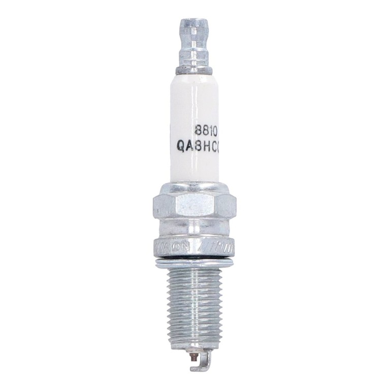 Champion Champion, spark plug 8810