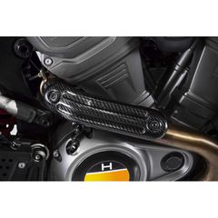 Zard Zard, Pan America carbon heat shield