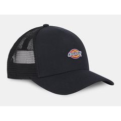 Dickies Dickies Hanston trucker cap black