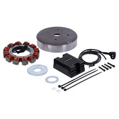 Cycle Electric Cycle Electric Alternator kit