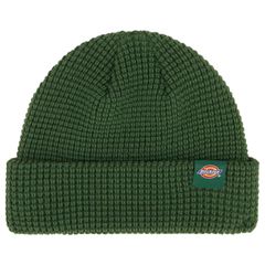 Dickies Dickies Woodworth beanie pine needle green
