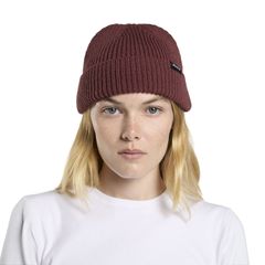Dickies Dickies Woodworth beanie andorra