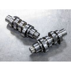 S S, M8 chain driven HPT496C camshaft only
