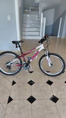 Ποδήλατο mountain 24άρι ideal strobe-thumb-3