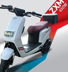 ZTR 2026 ZMX650