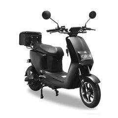 ZTR 2026 ZMX650-thumb-1