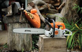 stihl 362 ms 2024