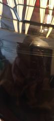 Hjc raph 12 venom L-thumb-4