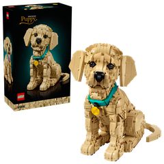 LEGO - Icons - Golden Retriever Puppy (11384) / Toys
