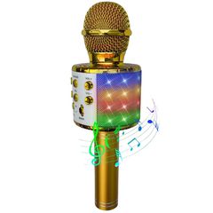Party Fun Lights - Karaoke Microphone with Speaker - Gold (605602) / Toys