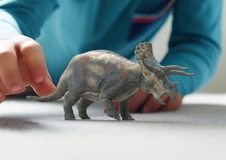 Schleich - Triceratops (15050)-thumb-1
