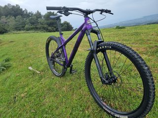 Downhill - Enduro - Trail 2023 Ragley Big All  Hardtail