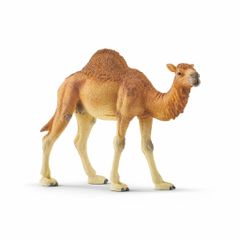 Schleich - Wild Life - Dromedary (14832)