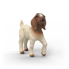 Schleich - Boer Goat Kid (14930)