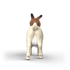 Schleich - Boer Goat (14929)-thumb-4